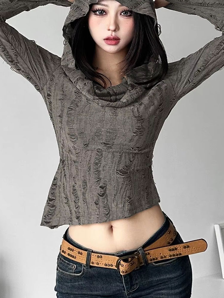 Camiseta con capucha de estilo - Women Fashion Style reseña y precio